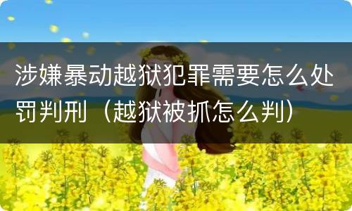 涉嫌暴动越狱犯罪需要怎么处罚判刑（越狱被抓怎么判）