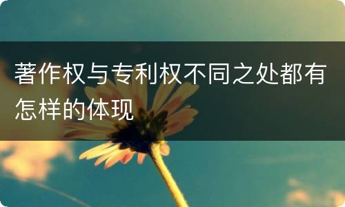 著作权与专利权不同之处都有怎样的体现