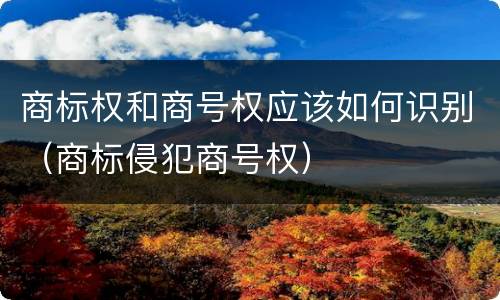 商标权和商号权应该如何识别（商标侵犯商号权）