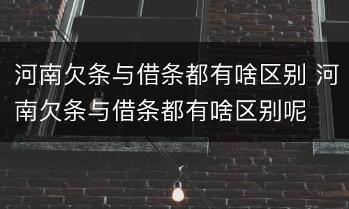 河南欠条与借条都有啥区别 河南欠条与借条都有啥区别呢