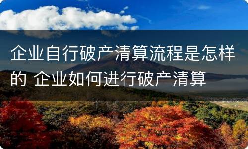 企业自行破产清算流程是怎样的 企业如何进行破产清算