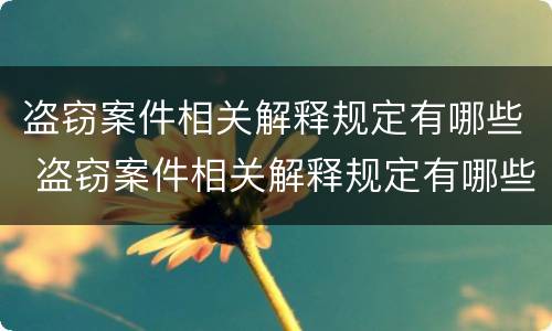 盗窃案件相关解释规定有哪些 盗窃案件相关解释规定有哪些问题