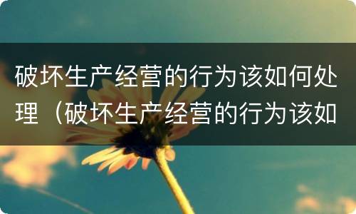 破坏生产经营的行为该如何处理（破坏生产经营的行为该如何处理好）