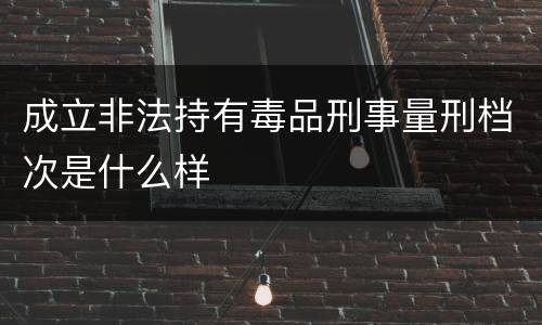 成立非法持有毒品刑事量刑档次是什么样