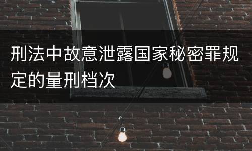 刑法中故意泄露国家秘密罪规定的量刑档次