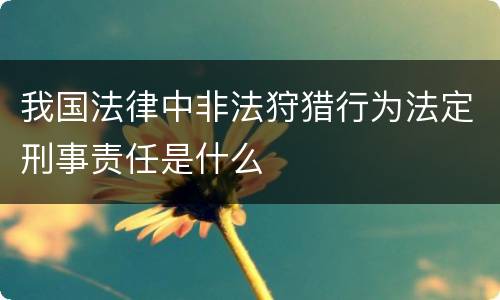 我国法律中非法狩猎行为法定刑事责任是什么