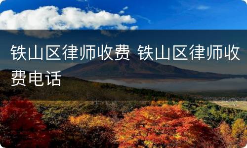 铁山区律师收费 铁山区律师收费电话