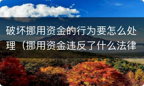 破坏挪用资金的行为要怎么处理（挪用资金违反了什么法律法规）
