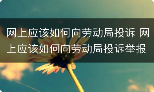 网上应该如何向劳动局投诉 网上应该如何向劳动局投诉举报