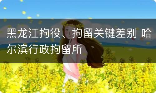 黑龙江拘役、拘留关键差别 哈尔滨行政拘留所