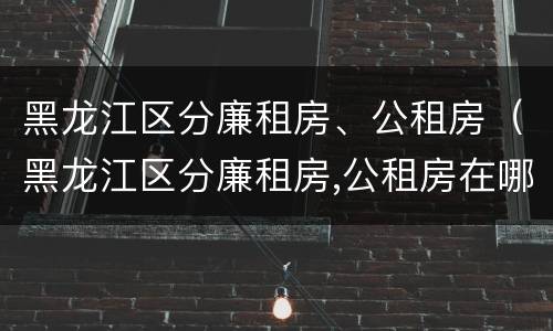 黑龙江区分廉租房、公租房（黑龙江区分廉租房,公租房在哪）