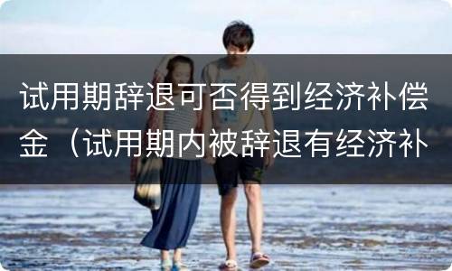试用期辞退可否得到经济补偿金（试用期内被辞退有经济补偿金吗）