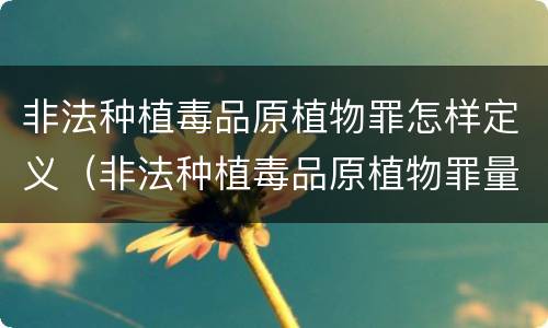 非法种植毒品原植物罪怎样定义（非法种植毒品原植物罪量刑指导意见）