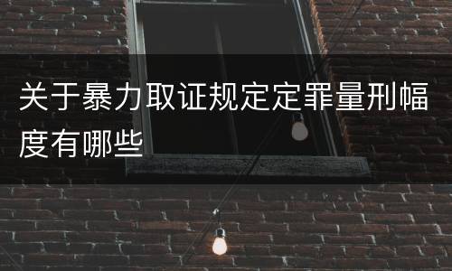 关于暴力取证规定定罪量刑幅度有哪些