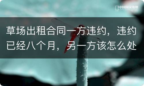 草场出租合同一方违约，违约已经八个月，另一方该怎么处理，有权要回草场吗