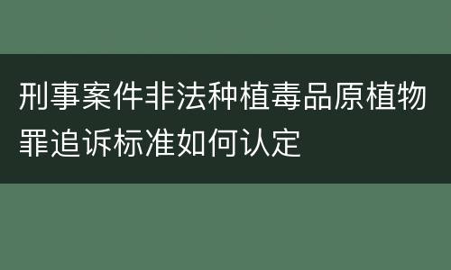 刑事案件非法种植毒品原植物罪追诉标准如何认定