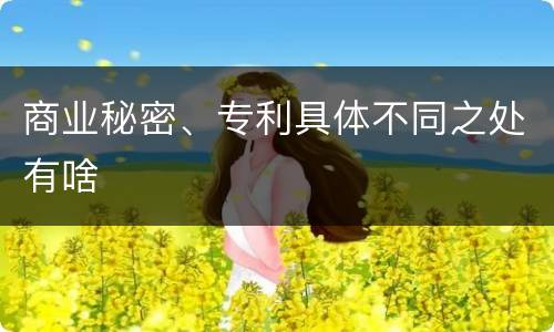 商业秘密、专利具体不同之处有啥