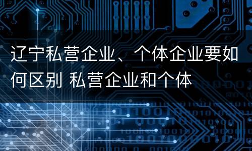 辽宁私营企业、个体企业要如何区别 私营企业和个体