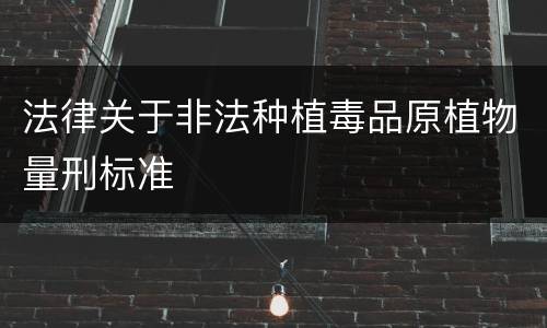 法律关于非法种植毒品原植物量刑标准