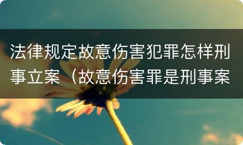 法律规定故意伤害犯罪怎样刑事立案（故意伤害罪是刑事案件吗）