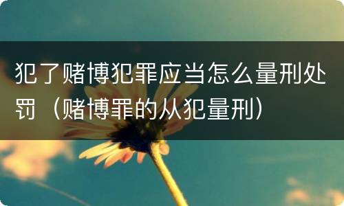 犯了赌博犯罪应当怎么量刑处罚（赌博罪的从犯量刑）