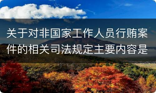 关于对非国家工作人员行贿案件的相关司法规定主要内容是什么
