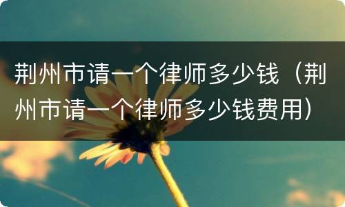 荆州市请一个律师多少钱（荆州市请一个律师多少钱费用）