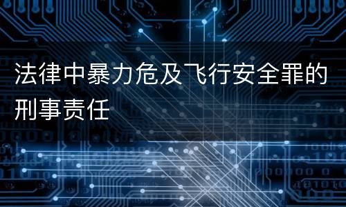 法律中暴力危及飞行安全罪的刑事责任