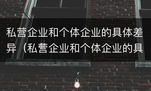 私营企业和个体企业的具体差异（私营企业和个体企业的具体差异是什么）