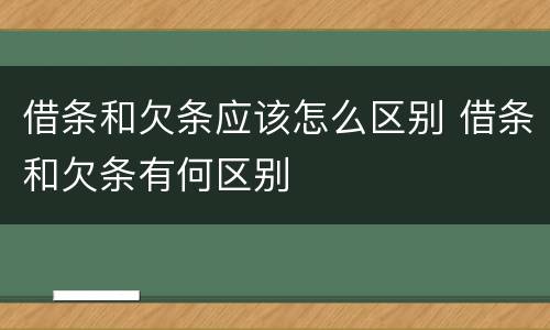 借条和欠条应该怎么区别 借条和欠条有何区别