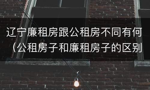 辽宁廉租房跟公租房不同有何（公租房子和廉租房子的区别）