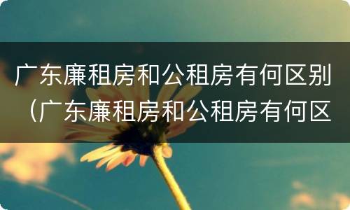 广东廉租房和公租房有何区别（广东廉租房和公租房有何区别和联系）