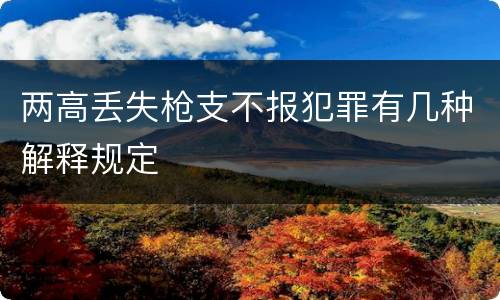 两高丢失枪支不报犯罪有几种解释规定