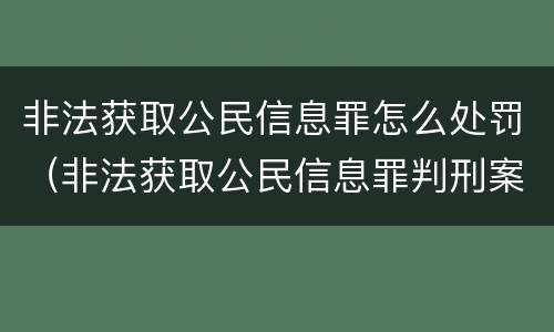 非法获取公民信息罪怎么处罚（非法获取公民信息罪判刑案例）