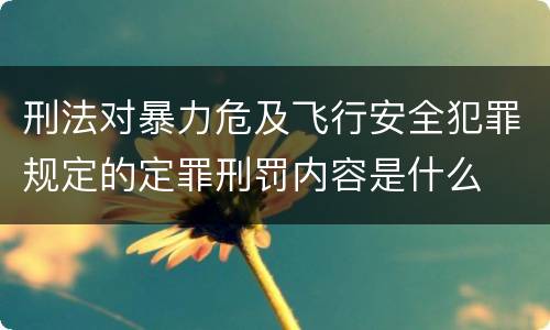刑法对暴力危及飞行安全犯罪规定的定罪刑罚内容是什么
