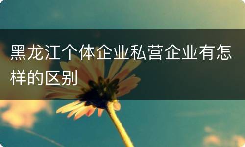 黑龙江个体企业私营企业有怎样的区别