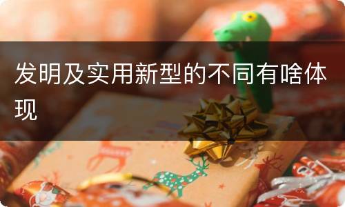 发明及实用新型的不同有啥体现