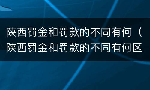 陕西罚金和罚款的不同有何（陕西罚金和罚款的不同有何区别）