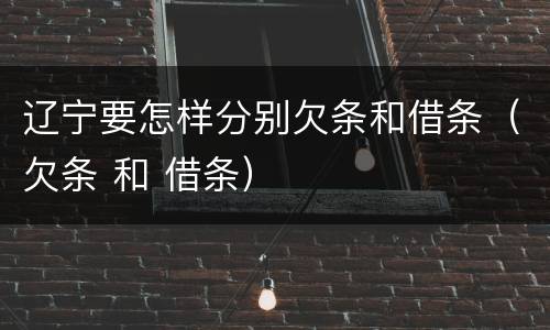 辽宁要怎样分别欠条和借条（欠条 和 借条）