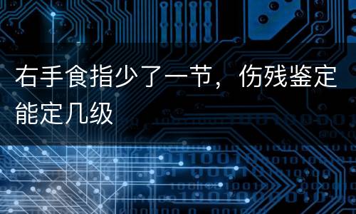 右手食指少了一节，伤残鉴定能定几级