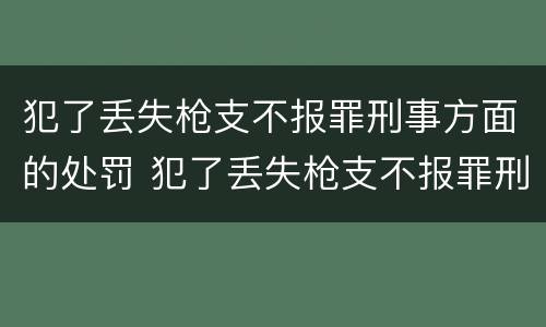 犯了丢失枪支不报罪刑事方面的处罚 犯了丢失枪支不报罪刑事方面的处罚标准