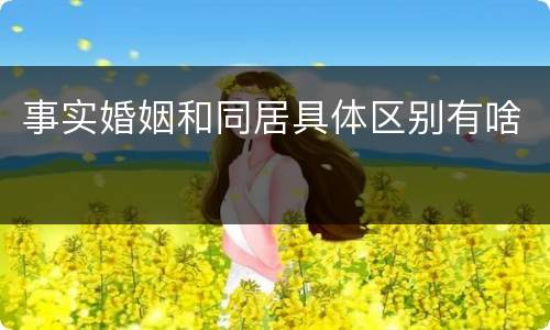 事实婚姻和同居具体区别有啥