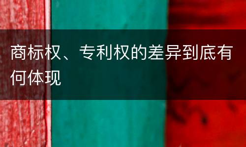 商标权、专利权的差异到底有何体现