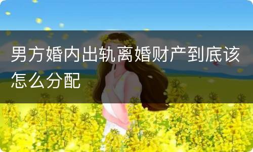 男方婚内出轨离婚财产到底该怎么分配