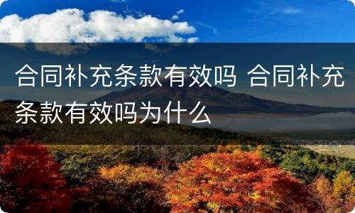 合同补充条款有效吗 合同补充条款有效吗为什么