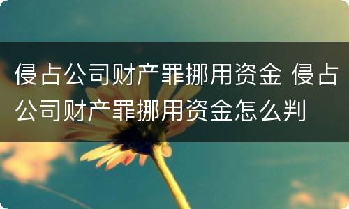 侵占公司财产罪挪用资金 侵占公司财产罪挪用资金怎么判