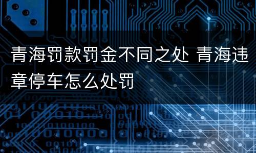 青海罚款罚金不同之处 青海违章停车怎么处罚