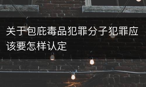 关于包庇毒品犯罪分子犯罪应该要怎样认定
