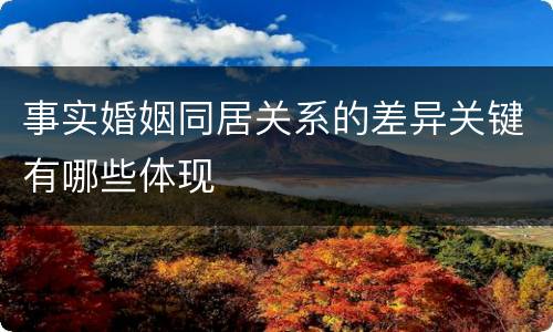 事实婚姻同居关系的差异关键有哪些体现