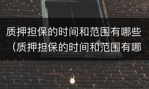质押担保的时间和范围有哪些（质押担保的时间和范围有哪些限制）